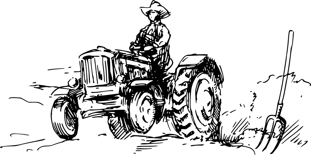 DHAN LAXMI SPICES